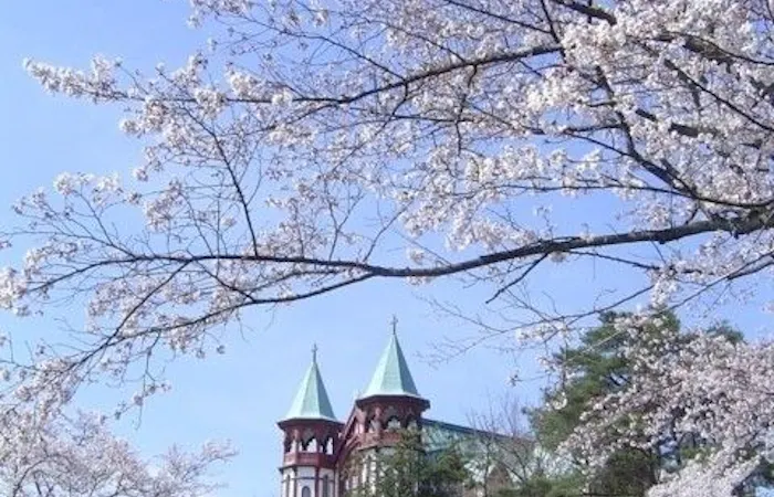 尾張 犬山 小牧 丹羽お花見22 尾張 犬山 小牧 丹羽 情緒あふれる桜景色を満喫 お花見おすすめ人気スポット23選 一休 Comレストラン 尾張 犬山 小牧 丹羽お花見22 尾張 犬山 小牧 丹羽 情緒あふれる桜景色を満喫 お花見おすすめ人気スポット23選 一休 Comレストラン