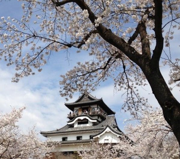 国宝犬山城と木曽川遊歩道 愛知 尾張 犬山 小牧 丹羽 人気お花見スポット 一休 Comレストラン 国宝犬山城と木曽川遊歩道 愛知 尾張 犬山 小牧 丹羽 人気お花見スポット 一休 Comレストラン