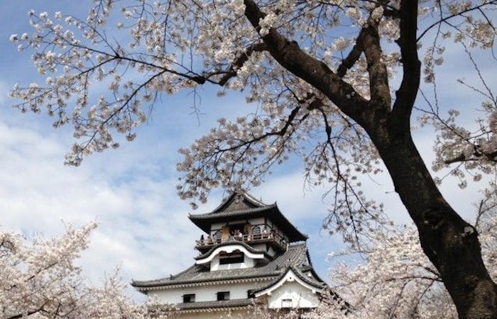 岡崎お花見21 岡崎 情緒あふれる桜景色を満喫 お花見おすすめ人気スポット17選 一休 Comレストラン 岡崎お花見21 岡崎 情緒あふれる桜景色を満喫 お花見おすすめ人気スポット17選 一休 Comレストラン