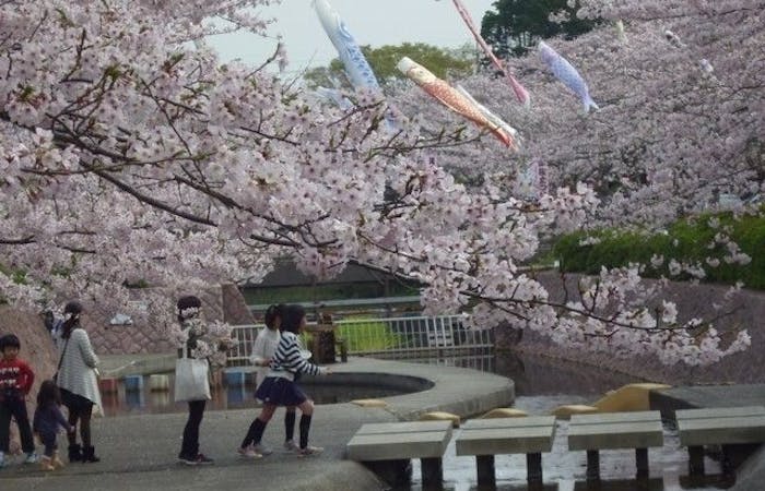 岡崎お花見21 岡崎 情緒あふれる桜景色を満喫 お花見おすすめ人気スポット17選 一休 Comレストラン 岡崎お花見21 岡崎 情緒あふれる桜景色を満喫 お花見おすすめ人気スポット17選 一休 Comレストラン
