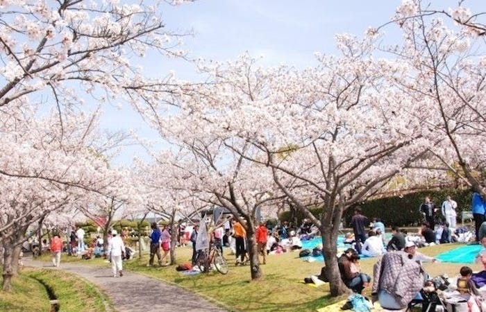 豊田 みよしお花見21 豊田 みよし 情緒あふれる桜景色を満喫 お花見おすすめ人気スポット21選 一休 Comレストラン 豊田 みよしお花見21 豊田 みよし 情緒あふれる桜景色を満喫 お花見おすすめ人気スポット21選 一休 Comレストラン