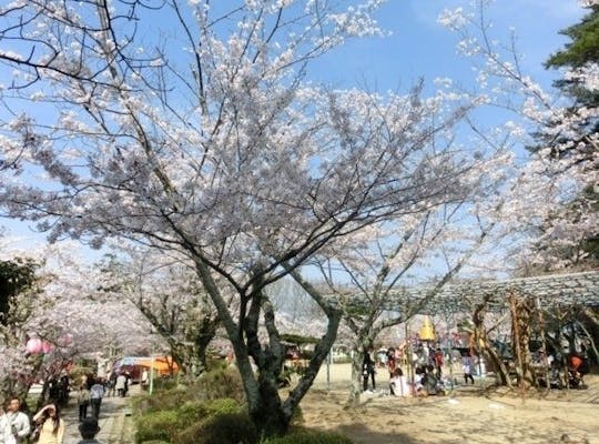 宮川堤 三重 伊勢 人気お花見スポット 一休 Comレストラン 宮川堤 三重 伊勢 人気お花見スポット 一休 Comレストラン