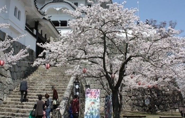 伊賀 名張お花見21 伊賀 名張 情緒あふれる桜景色を満喫 お花見おすすめ人気スポット28選 一休 Comレストラン 伊賀 名張お花見21 伊賀 名張 情緒あふれる桜景色を満喫 お花見おすすめ人気スポット28選 一休 Comレストラン
