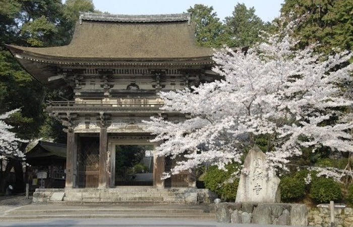 大津お花見21 大津 情緒あふれる桜景色を満喫 お花見おすすめ人気スポット30選 一休 Comレストラン 大津お花見21 大津 情緒あふれる桜景色を満喫 お花見おすすめ人気スポット30選 一休 Comレストラン