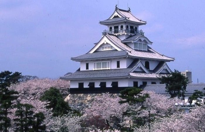 彦根お花見21 彦根 情緒あふれる桜景色を満喫 お花見おすすめ人気スポット13選 一休 Comレストラン 彦根お花見21 彦根 情緒あふれる桜景色を満喫 お花見おすすめ人気スポット13選 一休 Comレストラン