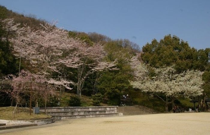 彦根お花見21 彦根 情緒あふれる桜景色を満喫 お花見おすすめ人気スポット13選 一休 Comレストラン 彦根お花見21 彦根 情緒あふれる桜景色を満喫 お花見おすすめ人気スポット13選 一休 Comレストラン