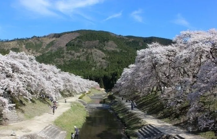 甲賀 信楽お花見22 甲賀 信楽 情緒あふれる桜景色を満喫 お花見おすすめ人気スポット28選 一休 Comレストラン 甲賀 信楽お花見22 甲賀 信楽 情緒あふれる桜景色を満喫 お花見おすすめ人気スポット28選 一休 Comレストラン