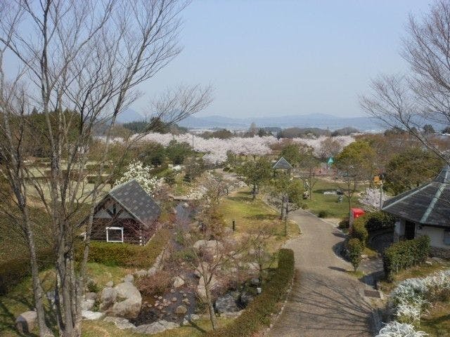 にごり池自然公園 滋賀 甲賀 信楽 人気お花見スポット 一休 Comレストラン
