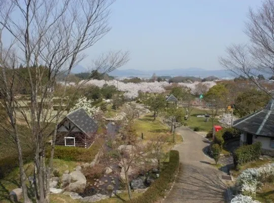 にごり池自然公園 滋賀 甲賀 信楽 人気お花見スポット 一休 Comレストラン にごり池自然公園 滋賀 甲賀 信楽 人気お花見スポット 一休 Comレストラン