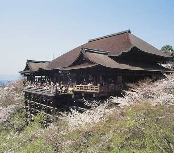 清水寺 京都府 京都 東山 人気お花見スポット 一休 Comレストラン 清水寺 京都府 京都 東山 人気お花見スポット 一休 Comレストラン