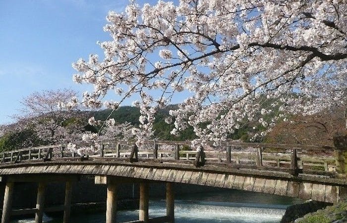 亀岡お花見21 亀岡 情緒あふれる桜景色を満喫 お花見おすすめ人気スポット30選 一休 Comレストラン 亀岡お花見21 亀岡 情緒あふれる桜景色を満喫 お花見おすすめ人気スポット30選 一休 Comレストラン