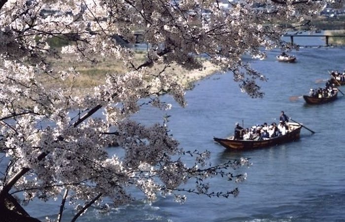 亀岡お花見21 亀岡 情緒あふれる桜景色を満喫 お花見おすすめ人気スポット30選 一休 Comレストラン 亀岡お花見21 亀岡 情緒あふれる桜景色を満喫 お花見おすすめ人気スポット30選 一休 Comレストラン