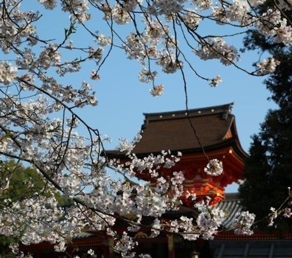 石清水八幡宮 京都 八幡 人気お花見スポット 一休 Comレストラン 石清水八幡宮 京都 八幡 人気お花見スポット 一休 Comレストラン