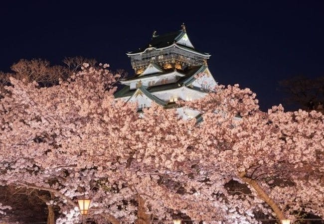 21年 大阪お花見で行きたい桜名所 大阪お花見におすすめ人気スポット9選 一休 Comレストラン 21年 大阪お花見で行きたい桜名所 大阪お花見におすすめ人気スポット9選 一休 Comレストラン