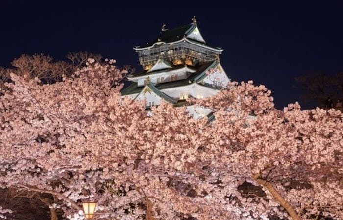 大阪城公園周辺お花見22 大阪城公園周辺 情緒あふれる桜景色を満喫 お花見おすすめ人気スポット29選 一休 Comレストラン 大阪城公園周辺お花見22 大阪城公園周辺 情緒あふれる桜景色を満喫 お花見おすすめ人気スポット29選 一休 Comレストラン