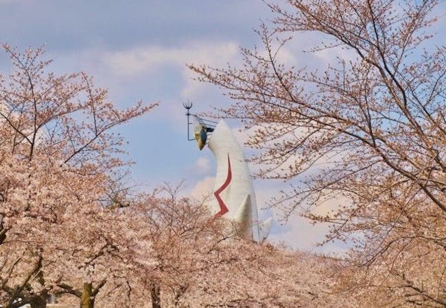 21年 大阪お花見で行きたい桜名所 大阪お花見におすすめ人気スポット9選 一休 Comレストラン 21年 大阪お花見で行きたい桜名所 大阪お花見におすすめ人気スポット9選 一休 Comレストラン