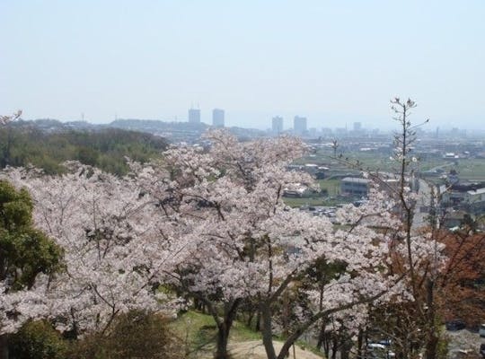 万博記念公園 大阪 吹田 人気お花見スポット 一休 Comレストラン 万博記念公園 大阪 吹田 人気お花見スポット 一休 Comレストラン