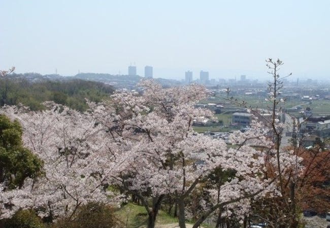 21年 大阪お花見で行きたい桜名所 大阪お花見におすすめ人気スポット9選 一休 Comレストラン 21年 大阪お花見で行きたい桜名所 大阪お花見におすすめ人気スポット9選 一休 Comレストラン