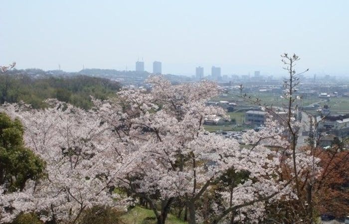 枚方お花見21 枚方 情緒あふれる桜景色を満喫 お花見おすすめ人気スポット30選 一休 Comレストラン 枚方お花見21 枚方 情緒あふれる桜景色を満喫 お花見おすすめ人気スポット30選 一休 Comレストラン