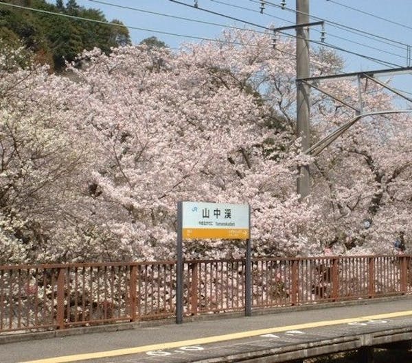 山中渓 大阪 泉南 人気お花見スポット 一休 Comレストラン 山中渓 大阪 泉南 人気お花見スポット 一休 Comレストラン