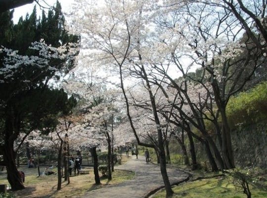 日岡山公園 兵庫 加古川 播磨 高砂 人気お花見スポット 一休 Comレストラン 日岡山公園 兵庫 加古川 播磨 高砂 人気お花見スポット 一休 Comレストラン