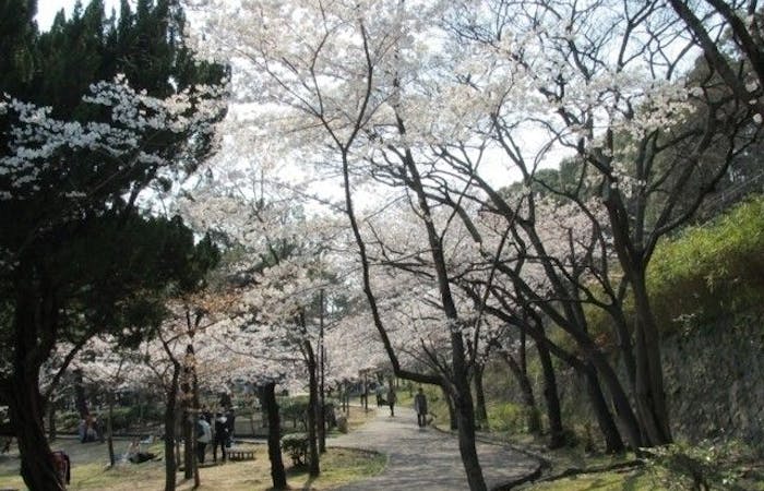 灘お花見21 灘 情緒あふれる桜景色を満喫 お花見おすすめ人気スポット18選 一休 Comレストラン 灘お花見21 灘 情緒あふれる桜景色を満喫 お花見おすすめ人気スポット18選 一休 Comレストラン