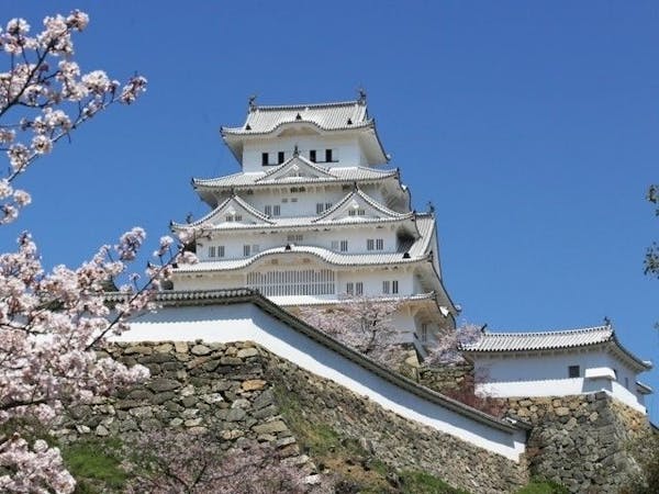 姫路お花見21 姫路 情緒あふれる桜景色を満喫 お花見おすすめ人気スポット9選 一休 Comレストラン