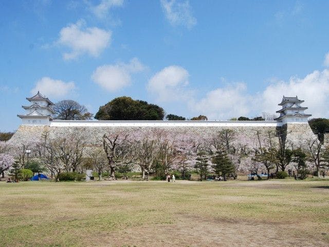 明石お花見22 明石 情緒あふれる桜景色を満喫 お花見おすすめ人気スポット11選 一休 Comレストラン