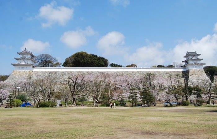 明石お花見22 明石 情緒あふれる桜景色を満喫 お花見おすすめ人気スポット11選 一休 Comレストラン 明石お花見22 明石 情緒あふれる桜景色を満喫 お花見おすすめ人気スポット11選 一休 Comレストラン