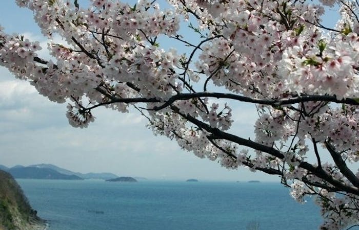 赤穂お花見21 赤穂 情緒あふれる桜景色を満喫 お花見おすすめ人気スポット7選 一休 Comレストラン 赤穂お花見21 赤穂 情緒あふれる桜景色を満喫 お花見おすすめ人気スポット7選 一休 Comレストラン