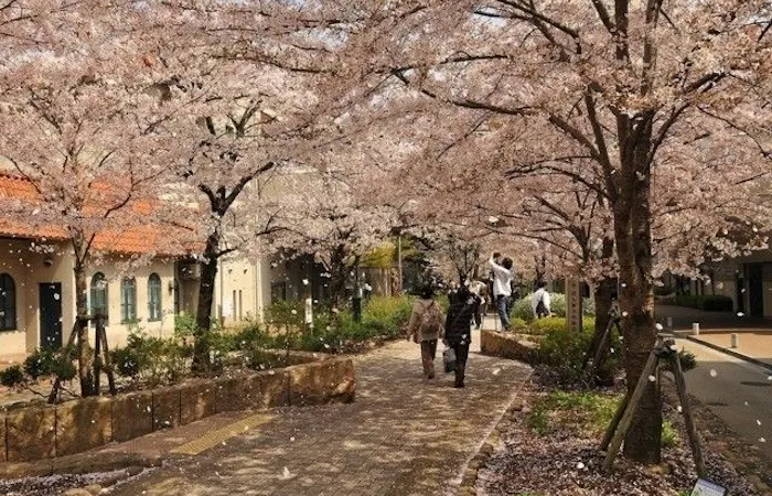 宝塚お花見22 宝塚 情緒あふれる桜景色を満喫 お花見おすすめ人気スポット21選 一休 Comレストラン 宝塚お花見22 宝塚 情緒あふれる桜景色を満喫 お花見おすすめ人気スポット21選 一休 Comレストラン