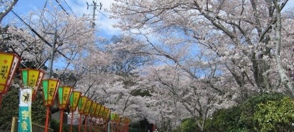 赤穂お花見21 赤穂 情緒あふれる桜景色を満喫 お花見おすすめ人気スポット7選 一休 Comレストラン 赤穂お花見21 赤穂 情緒あふれる桜景色を満喫 お花見おすすめ人気スポット7選 一休 Comレストラン