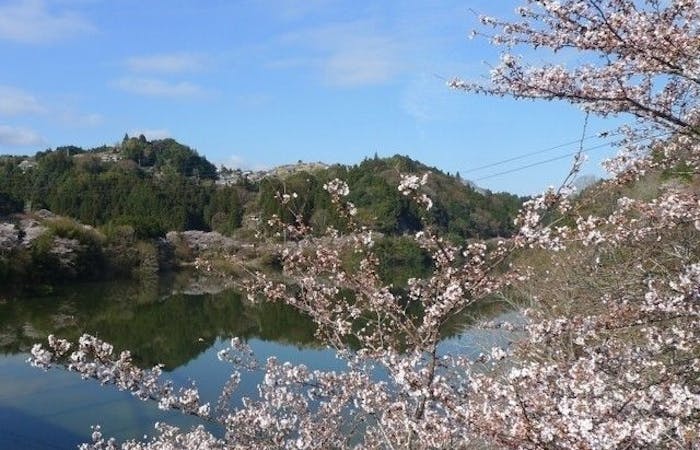奈良市お花見22 奈良市 情緒あふれる桜景色を満喫 お花見おすすめ人気スポット30選 一休 Comレストラン 奈良市お花見22 奈良市 情緒あふれる桜景色を満喫 お花見おすすめ人気スポット30選 一休 Comレストラン