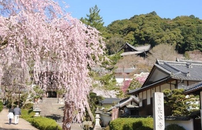 名所 奈良 桜 吉野山の桜は一目千本が必見！世界遺産のおすすめ花見コース
