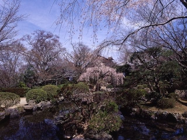 吉野 奥吉野お花見21 吉野 奥吉野 情緒あふれる桜景色を満喫 お花見おすすめ人気スポット14選 一休 Comレストラン