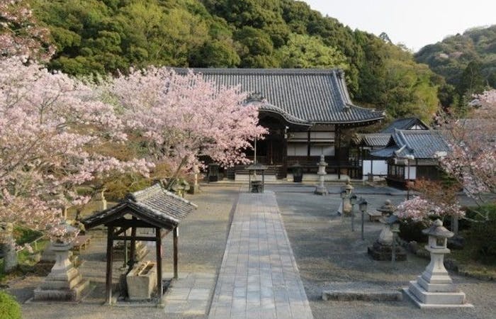 泉佐野お花見21 泉佐野 情緒あふれる桜景色を満喫 お花見おすすめ人気スポット14選 一休 Comレストラン 泉佐野お花見21 泉佐野 情緒あふれる桜景色を満喫 お花見おすすめ人気スポット14選 一休 Comレストラン