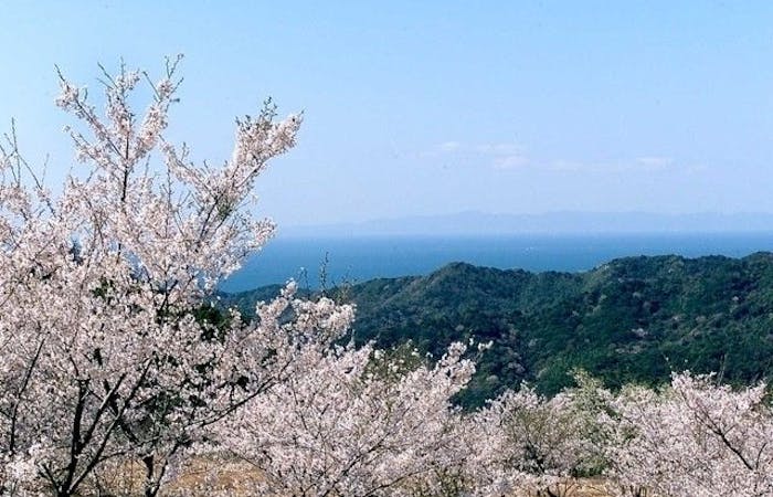 泉佐野お花見21 泉佐野 情緒あふれる桜景色を満喫 お花見おすすめ人気スポット14選 一休 Comレストラン 泉佐野お花見21 泉佐野 情緒あふれる桜景色を満喫 お花見おすすめ人気スポット14選 一休 Comレストラン