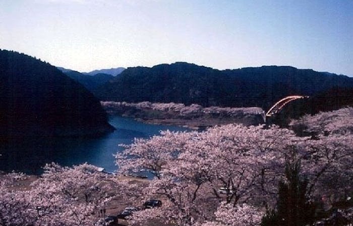 串本 すさみお花見21 串本 すさみ 情緒あふれる桜景色を満喫 お花見おすすめ人気スポット3選 一休 Comレストラン 串本 すさみお花見21 串本 すさみ 情緒あふれる桜景色を満喫 お花見おすすめ人気スポット3選 一休 Comレストラン