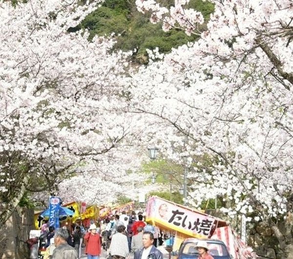 久松公園 鳥取 鳥取市 人気お花見スポット 一休 Comレストラン 久松公園 鳥取 鳥取市 人気お花見スポット 一休 Comレストラン