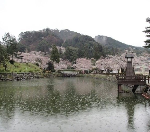 鹿野城跡公園 鳥取 鳥取市 人気お花見スポット 一休 Comレストラン 鹿野城跡公園 鳥取 鳥取市 人気お花見スポット 一休 Comレストラン