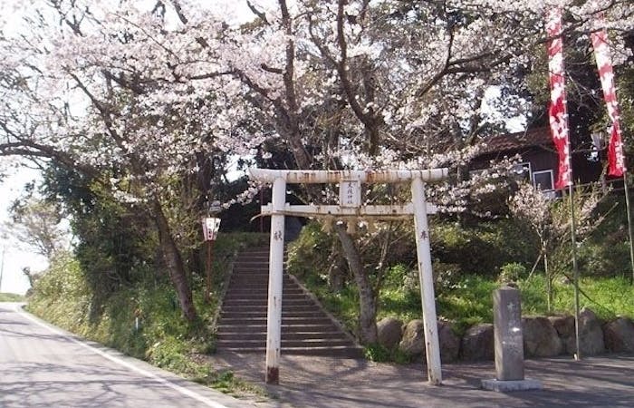 大山お花見21 大山 情緒あふれる桜景色を満喫 お花見おすすめ人気スポット11選 一休 Comレストラン 大山お花見21 大山 情緒あふれる桜景色を満喫 お花見おすすめ人気スポット11選 一休 Comレストラン