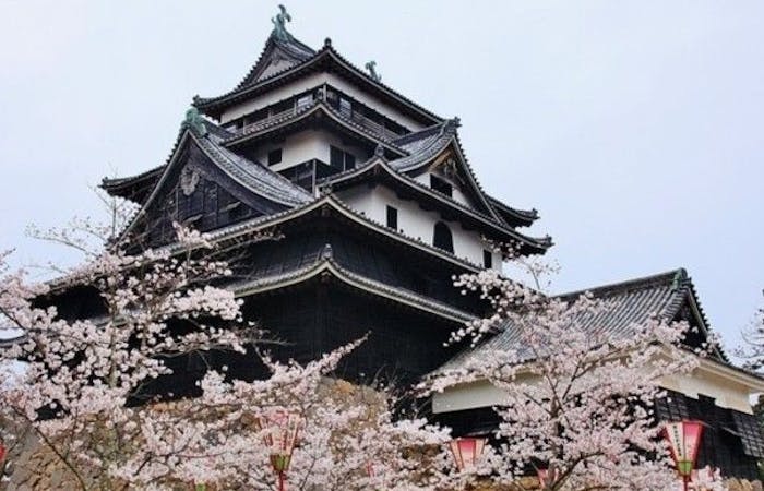 出雲お花見21 出雲 情緒あふれる桜景色を満喫 お花見おすすめ人気スポット10選 一休 Comレストラン 出雲お花見21 出雲 情緒あふれる桜景色を満喫 お花見おすすめ人気スポット10選 一休 Comレストラン