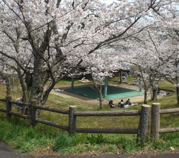 愛宕山公園 島根 出雲 人気お花見スポット 一休 Comレストラン 愛宕山公園 島根 出雲 人気お花見スポット 一休 Comレストラン