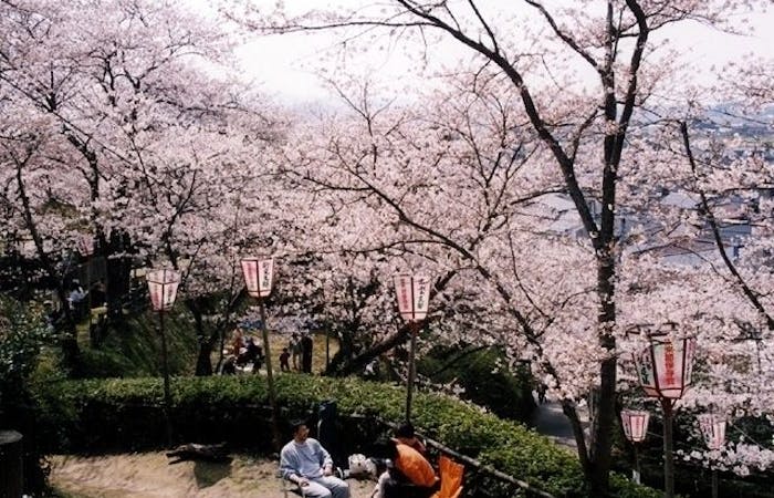 出雲お花見21 出雲 情緒あふれる桜景色を満喫 お花見おすすめ人気スポット10選 一休 Comレストラン 出雲お花見21 出雲 情緒あふれる桜景色を満喫 お花見おすすめ人気スポット10選 一休 Comレストラン