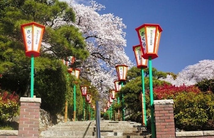 岡山市お花見21 岡山市 情緒あふれる桜景色を満喫 お花見おすすめ人気スポット11選 一休 Comレストラン 岡山市お花見21 岡山市 情緒あふれる桜景色を満喫 お花見おすすめ人気スポット11選 一休 Comレストラン