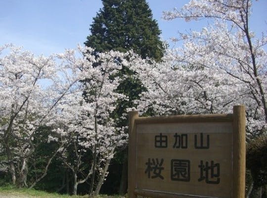 みやま公園 岡山 玉野 牛窓 人気お花見スポット 一休 Comレストラン みやま公園 岡山 玉野 牛窓 人気お花見スポット 一休 Comレストラン
