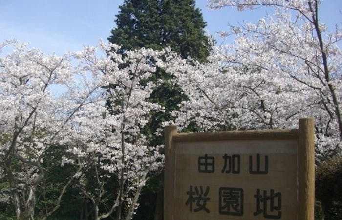 倉敷お花見21 倉敷 情緒あふれる桜景色を満喫 お花見おすすめ人気スポット13選 一休 Comレストラン 倉敷お花見21 倉敷 情緒あふれる桜景色を満喫 お花見おすすめ人気スポット13選 一休 Comレストラン