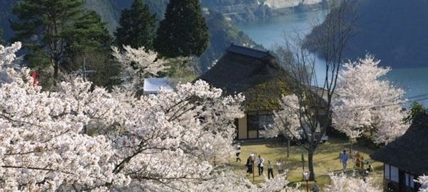 倉吉 三朝 湯梨浜お花見21 倉吉 三朝 湯梨浜 情緒あふれる桜景色を満喫 お花見おすすめ人気スポット9選 一休 Comレストラン 倉吉 三朝 湯梨浜お花見21 倉吉 三朝 湯梨浜 情緒あふれる桜景色を満喫 お花見おすすめ人気スポット9選 一休 Comレストラン
