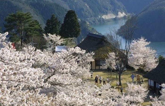 久米南 美咲お花見21 久米南 美咲 情緒あふれる桜景色を満喫 お花見おすすめ人気スポット9選 一休 Comレストラン 久米南 美咲お花見21 久米南 美咲 情緒あふれる桜景色を満喫 お花見おすすめ人気スポット9選 一休 Comレストラン