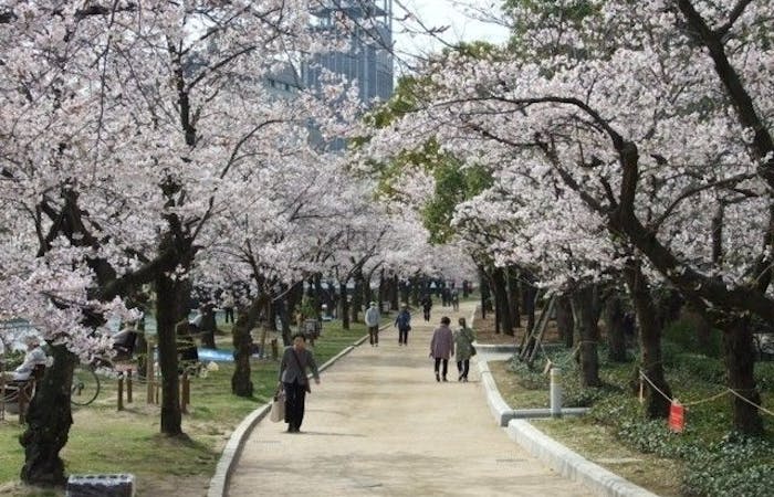 広島市お花見21 広島市 情緒あふれる桜景色を満喫 お花見おすすめ人気スポット9選 一休 Comレストラン 広島市お花見21 広島市 情緒あふれる桜景色を満喫 お花見おすすめ人気スポット9選 一休 Comレストラン